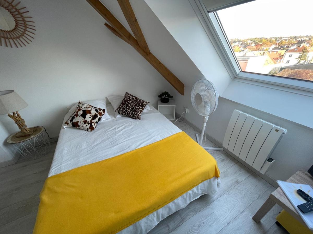Esprit Jaune - Cosy Studio Salengro - Sauna & Sport Club Mulhouse Exterior foto