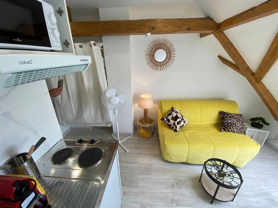 Esprit Jaune - Cosy Studio Salengro - Sauna & Sport Club Mulhouse Exterior foto